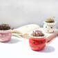 Ceramic Succulent Flower Pot