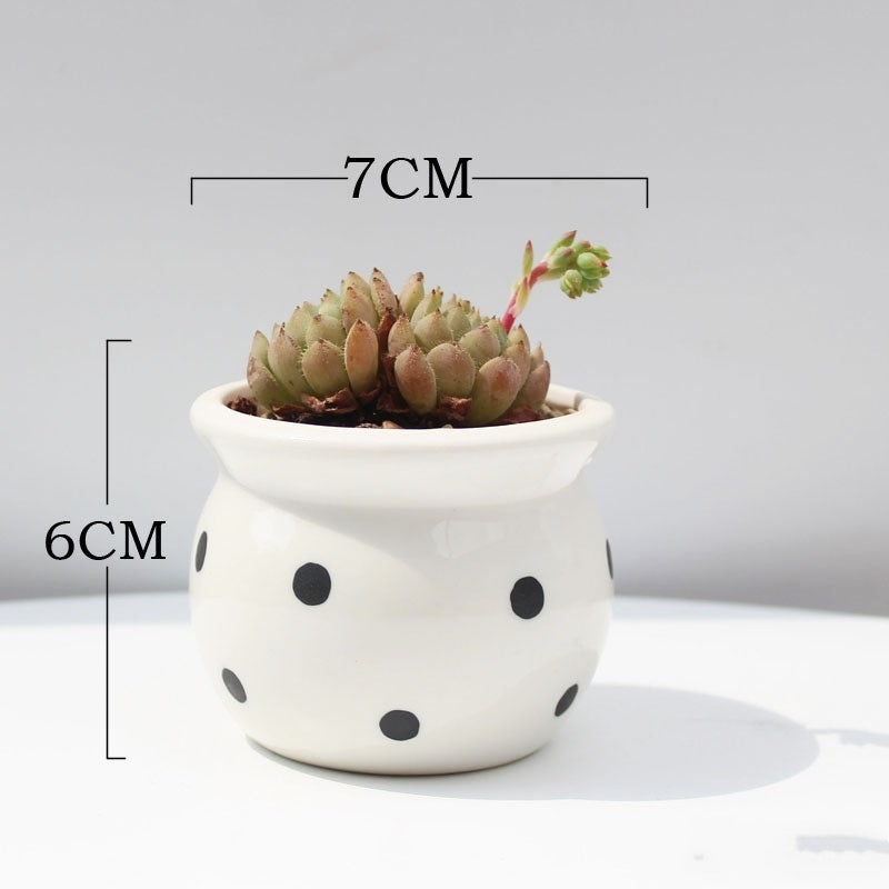 Ceramic Succulent Flower Pot