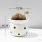 Ceramic Succulent Flower Pot