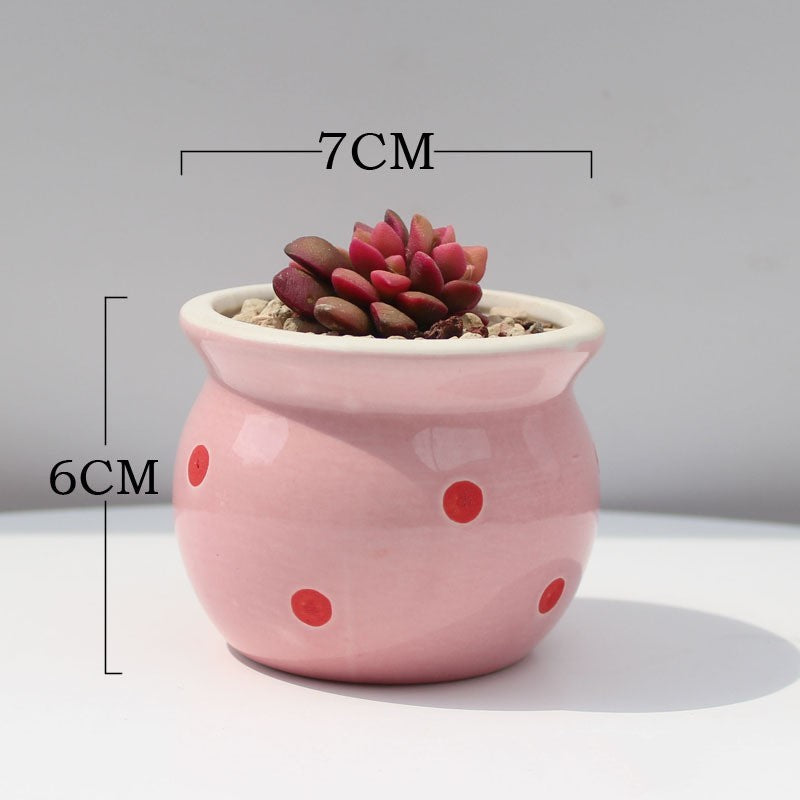 Ceramic Succulent Flower Pot