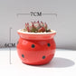 Ceramic Succulent Flower Pot