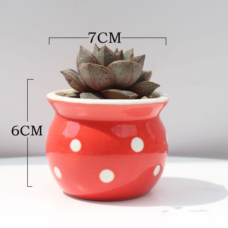 Ceramic Succulent Flower Pot