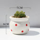 Ceramic Succulent Flower Pot