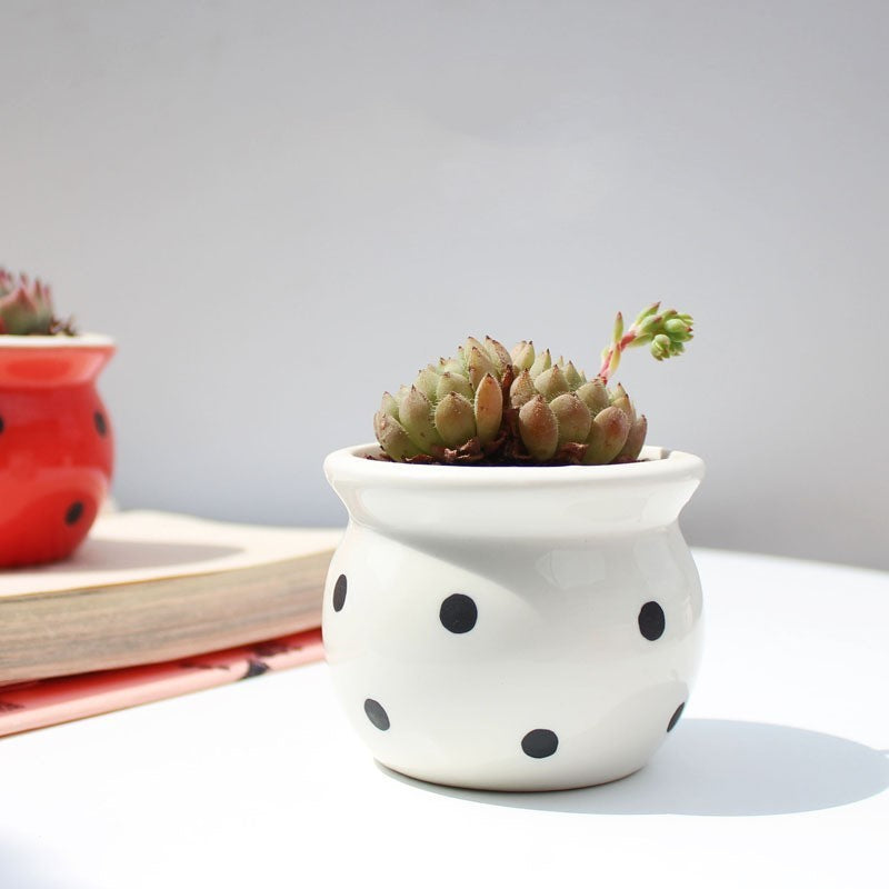 Ceramic Succulent Flower Pot