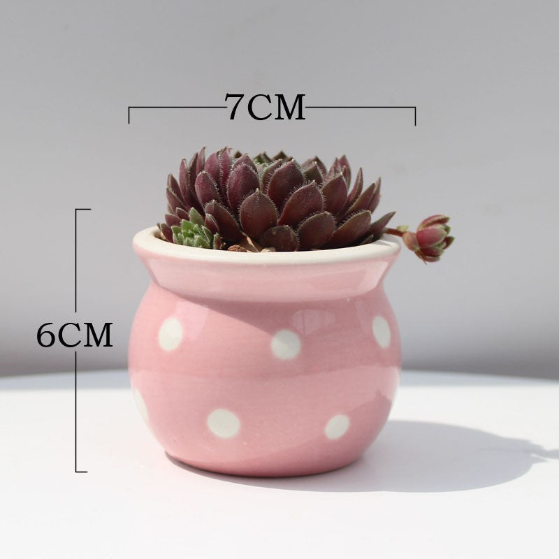 Ceramic Succulent Flower Pot